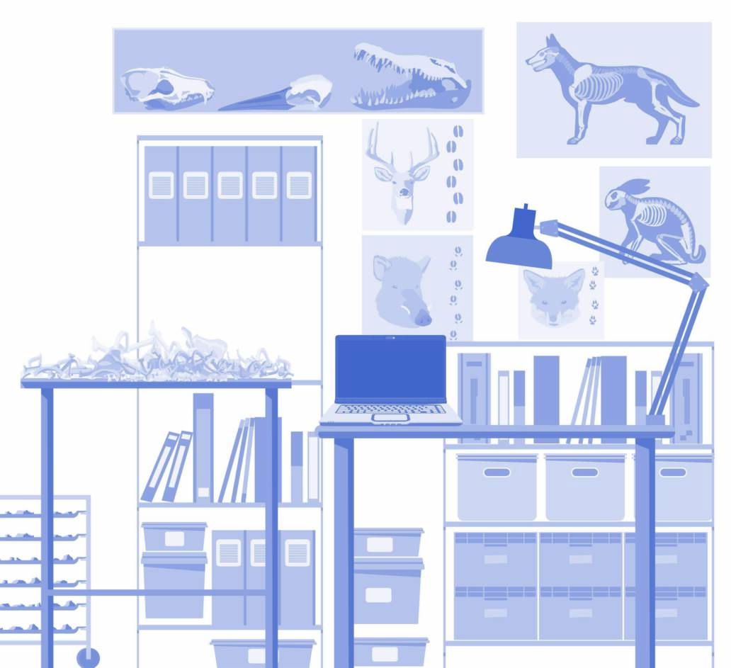 Extrait d'une illustration murale pour le labo du CIP de Dehlingen. Illustration vectorielle Batchou.